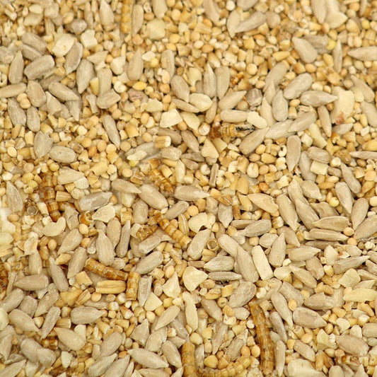 Johnston & Jeff Wild Bird Food Robin Mix 2kg