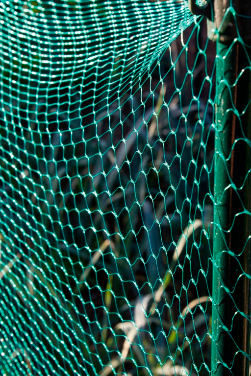 Ambassador Garden Net Green 3m x 2m