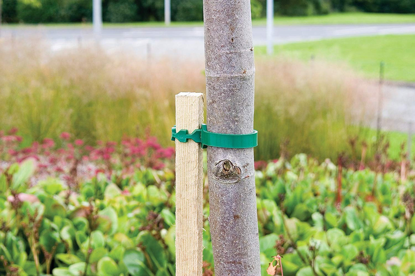 Tree Tie 355mm