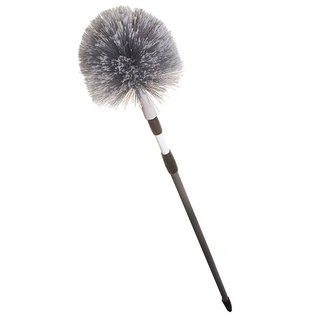 Elliott Domed Cobweb Broom with Extending Handle (Colours may vary)