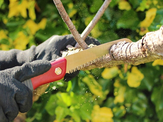 Airpure Turbo Folding Saw