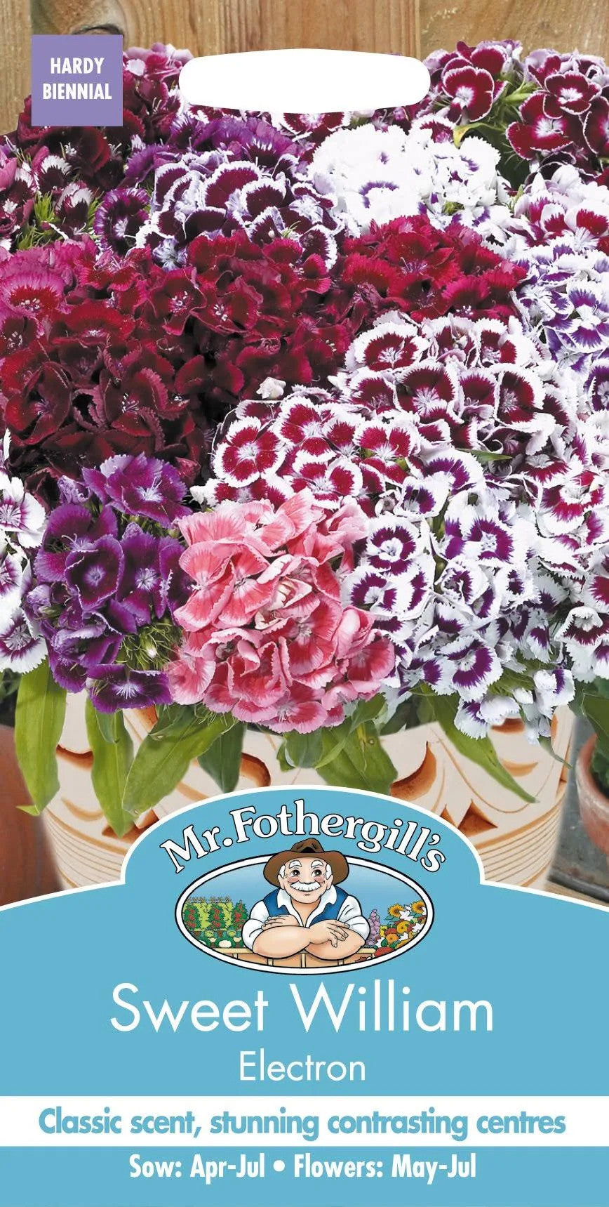 Mr.Fothergill's Sweet William Electron
