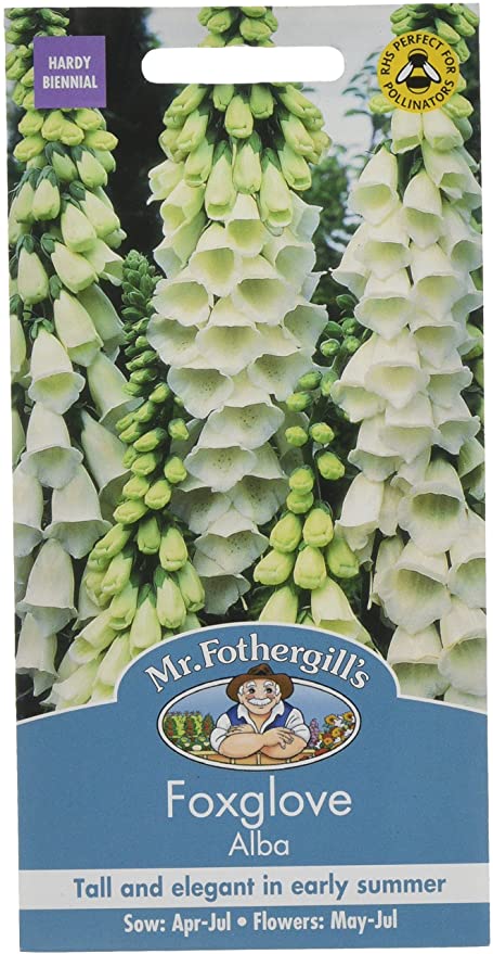 Mr.Fothergill's Foxglove Alba