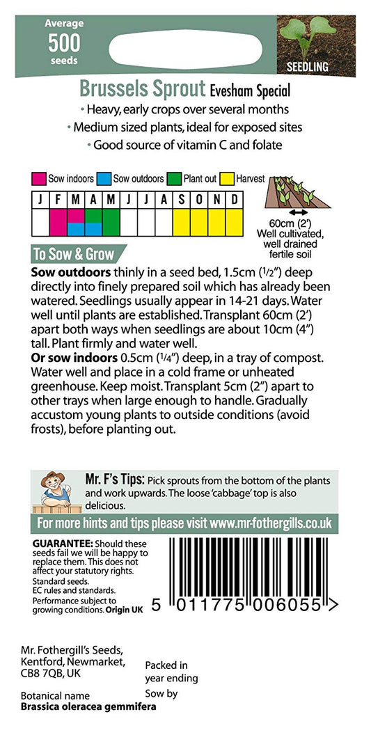 Mr.Fothergill's Brussels Sprout Evesham Special Seeds