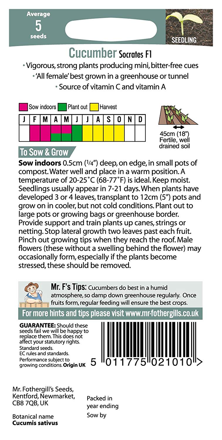 Mr.Fothergill's Cucumber Socrates F1 Seeds