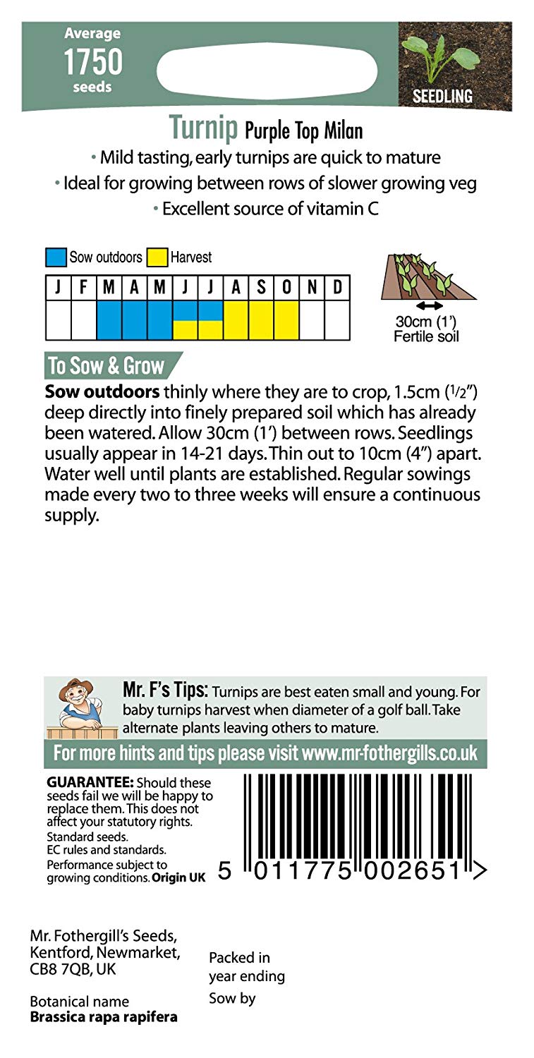 Mr.Fothergill's Turnip Purple Top Milan Seeds