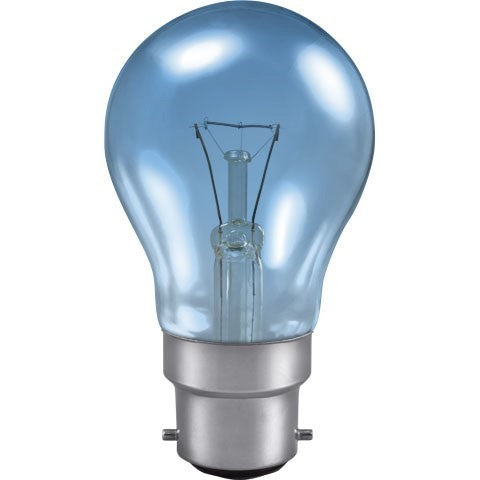 Eveready 100W BC Craft Light Daylight Blue