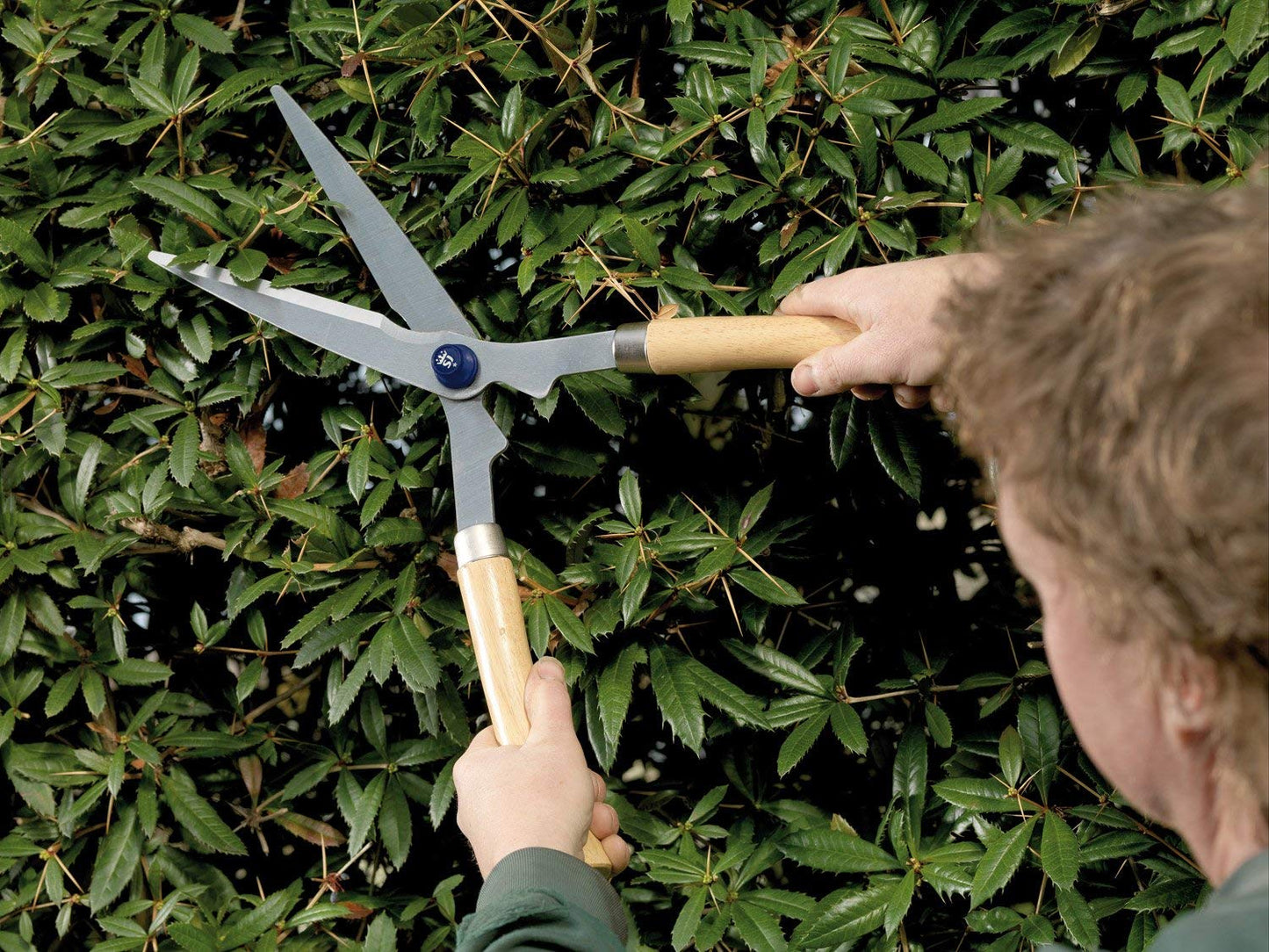 Spear & Jackson Razorsharp Wooden Handled Hedge Shears