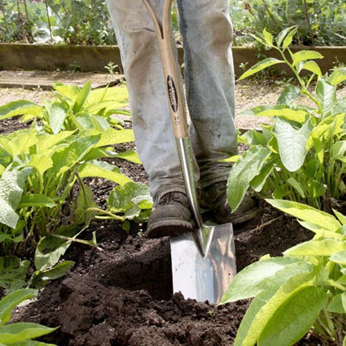 Spear & Jackson Border Spade Traditional Stainless Steel