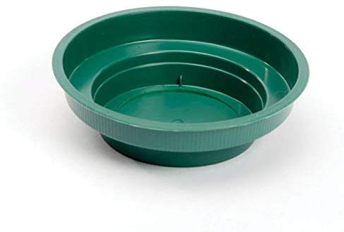 Smithers Oasis Junior Bowl - Green