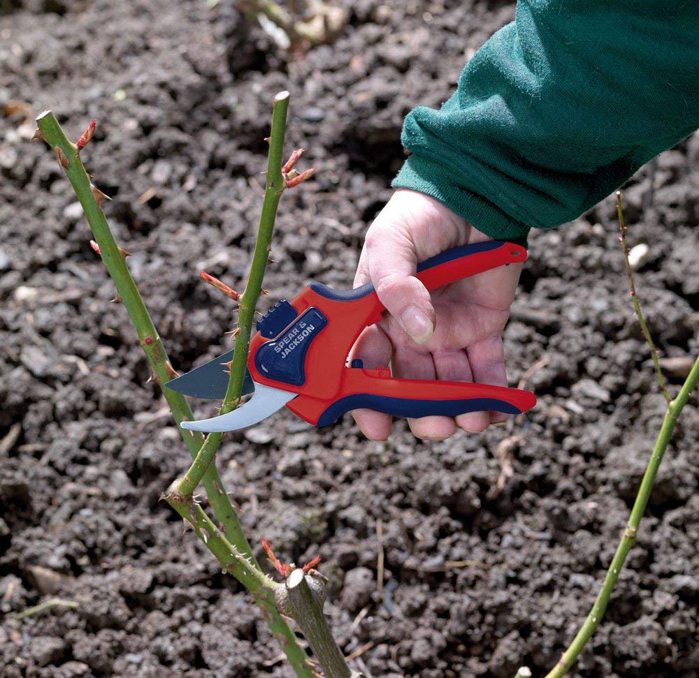 Spear & Jackson Razorsharp Medium Secateurs - Bypass