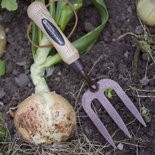 Spear & Jackson Weed Fork Elements
