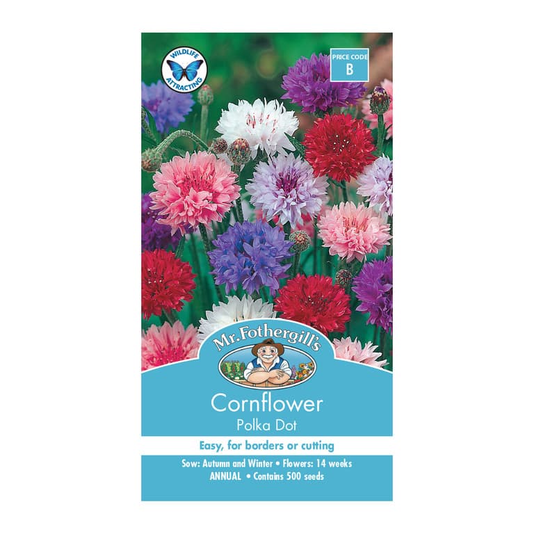 Cornflower Polka Dot