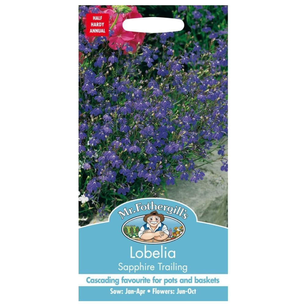 Lobelia Sapphire Trailing