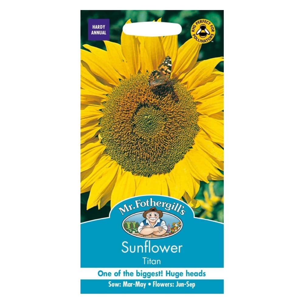 Sunflower Titan
