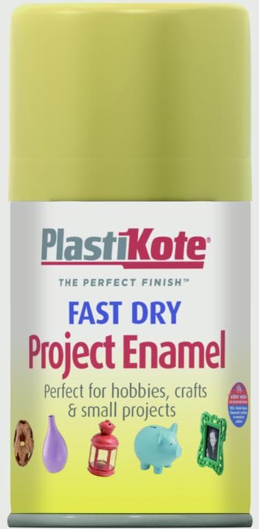 Fast Dry Enamel 100ml Spray