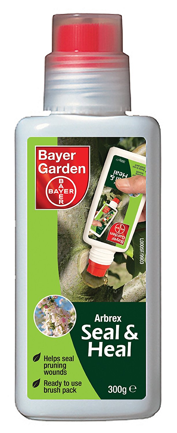 Bayer Garden Arbrex Seal & Heal 300g