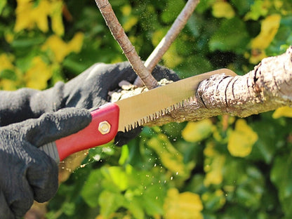 Airpure Turbo Folding Saw