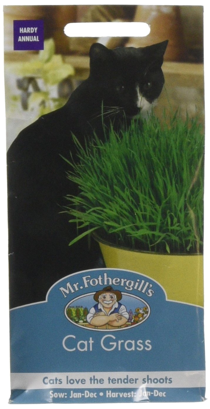 Mr.Fothergill's Cat Grass Seeds 25g