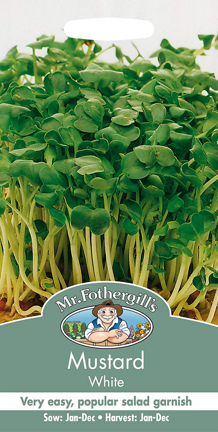 Mr.Fothergill's Mustard Sprouting Seeds - White