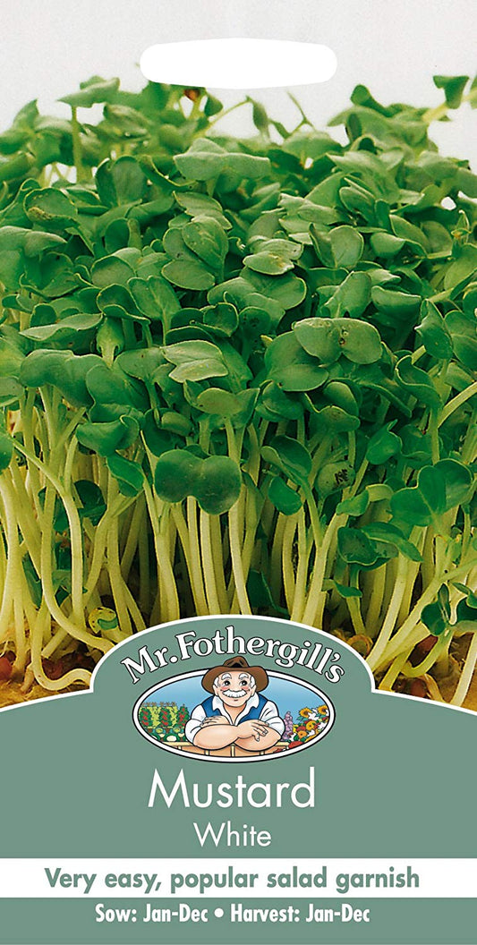 Mr.Fothergill's Mustard Sprouting Seeds - White