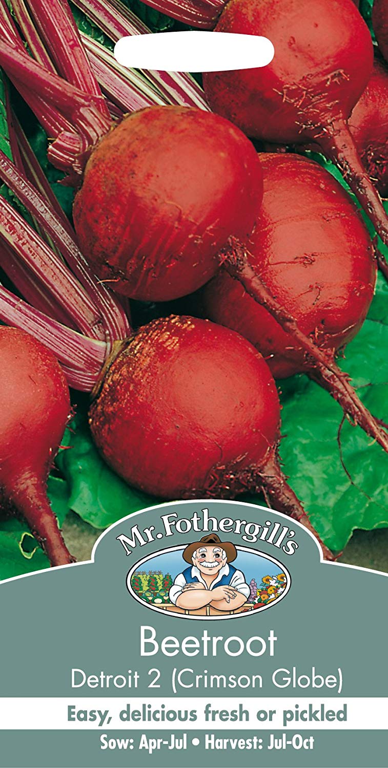 Mr.Fothergill's Beetroot Seeds Detroit 2 Crimson Globe