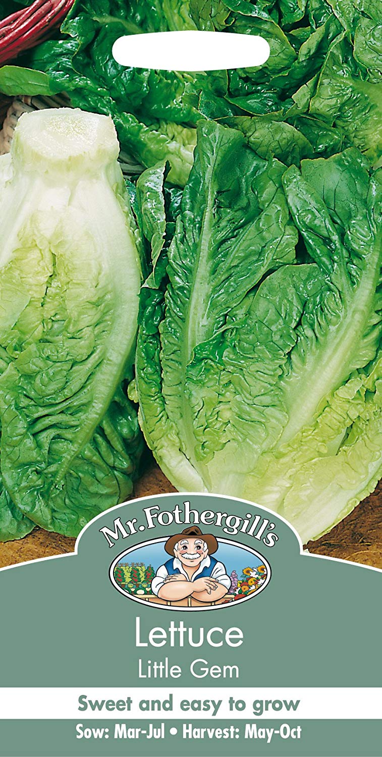 Mr.Fothergill's Lettuce Seeds Little Gem