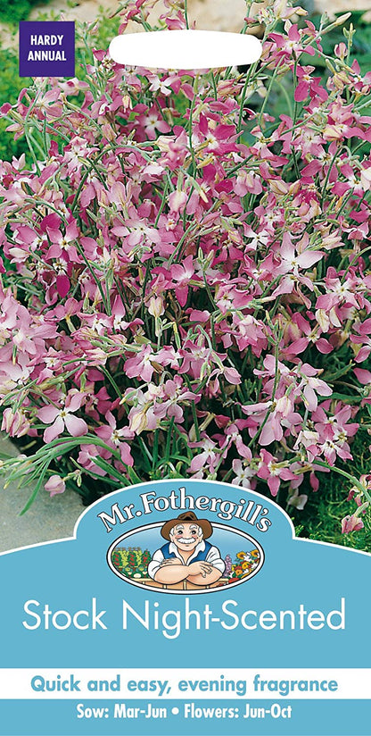 Mr.Fothergill's Stock Night Scented Flower Seeds