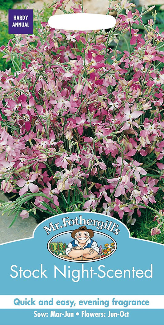Mr.Fothergill's Stock Night Scented Flower Seeds