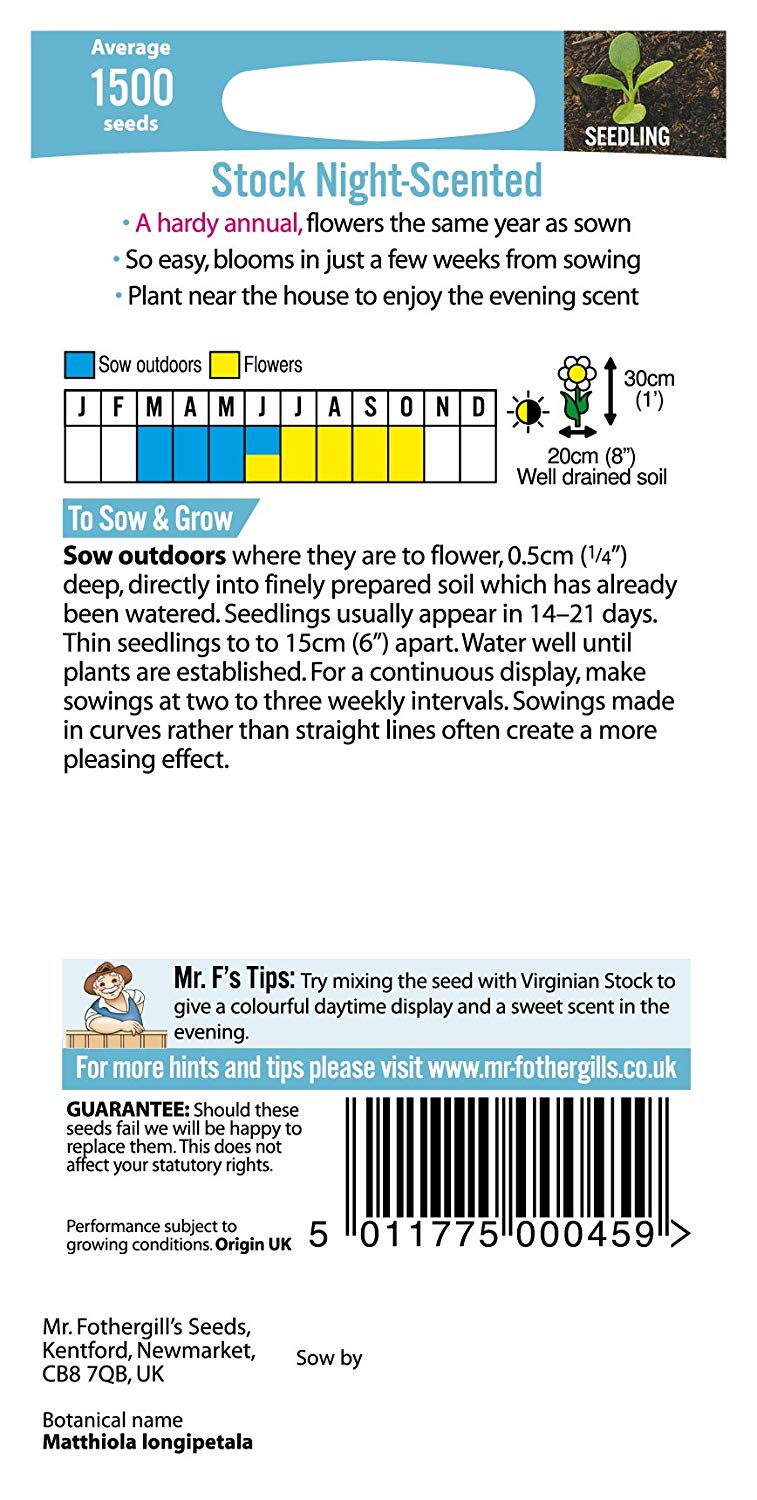 Mr.Fothergill's Stock Night Scented Flower Seeds