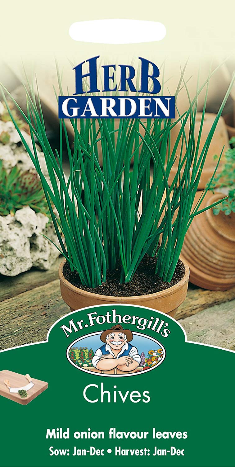 Mr.Fothergill's Chives Herb Seeds