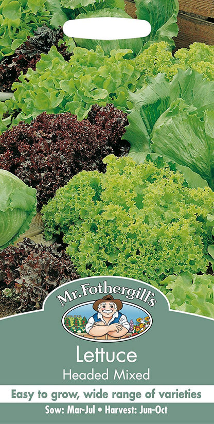 Mr.Fothergill's Lettuce Headed Mixed Seeds