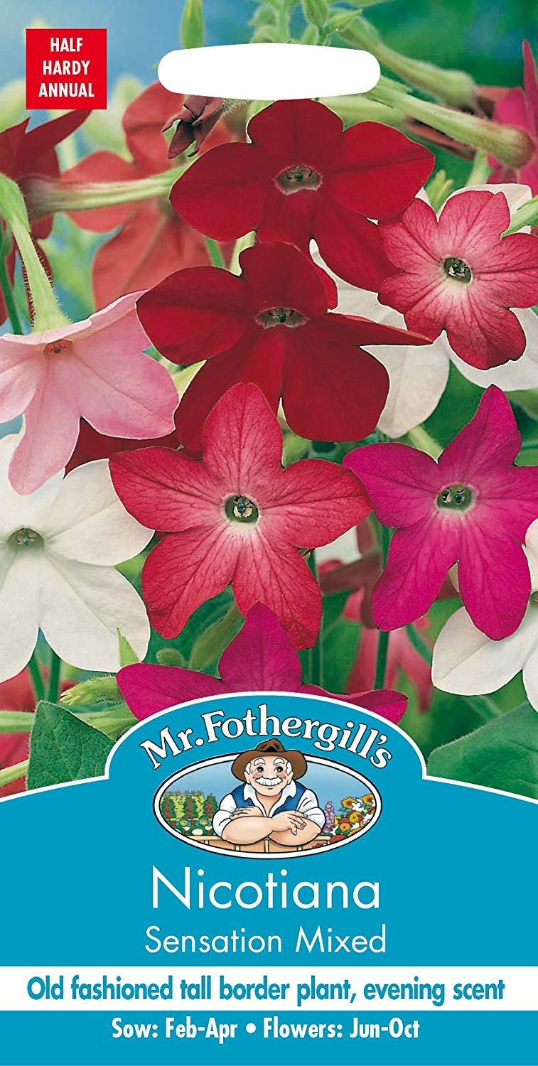 Mr.Fothergill's Nicotiana Sensation Mixed Flower Seeds
