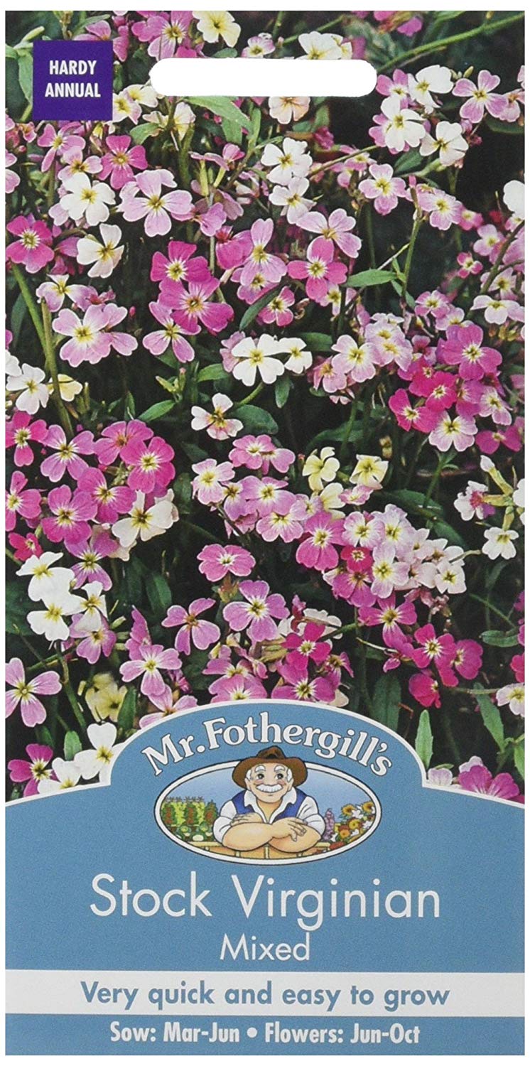 Mr.Fothergill's Stock Virginian Mixed Flower Seeds