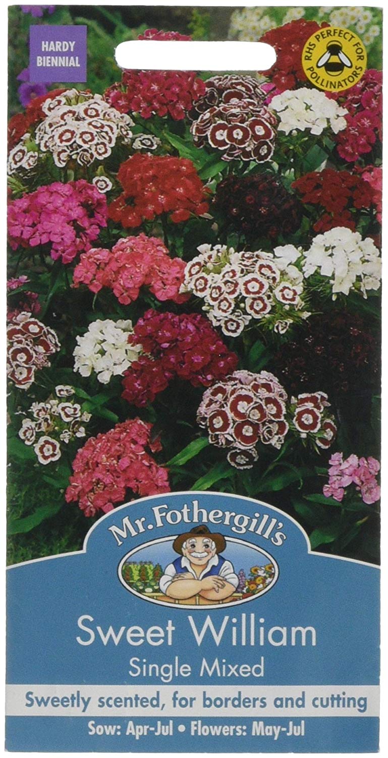 Mr.Fothergill's Sweet William Single Mixed Flower Seeds