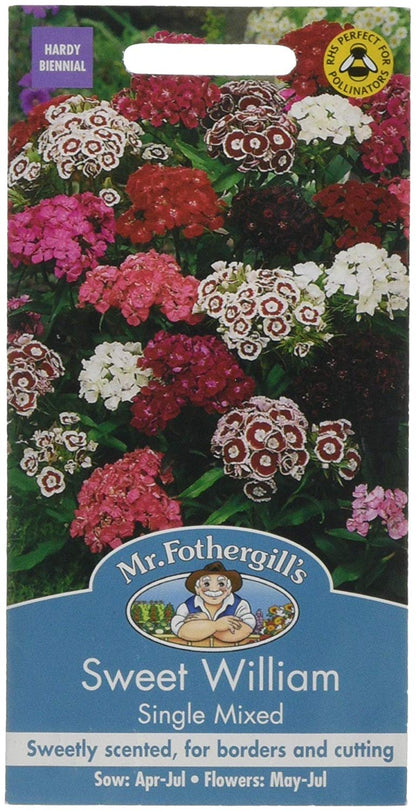 Mr.Fothergill's Sweet William Single Mixed Flower Seeds