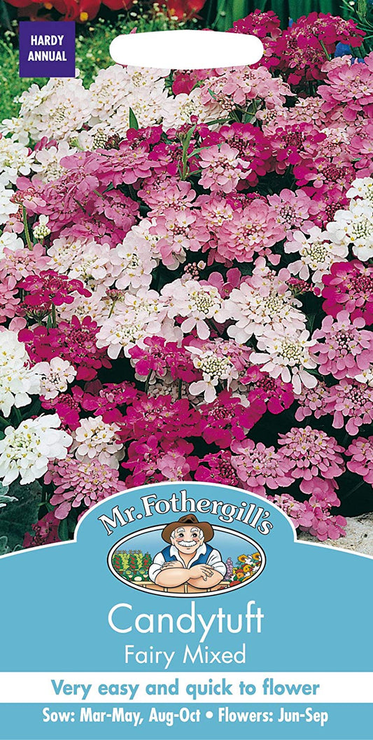 Mr.Fothergill's Candytuft Fairy Mixed Flower Seeds