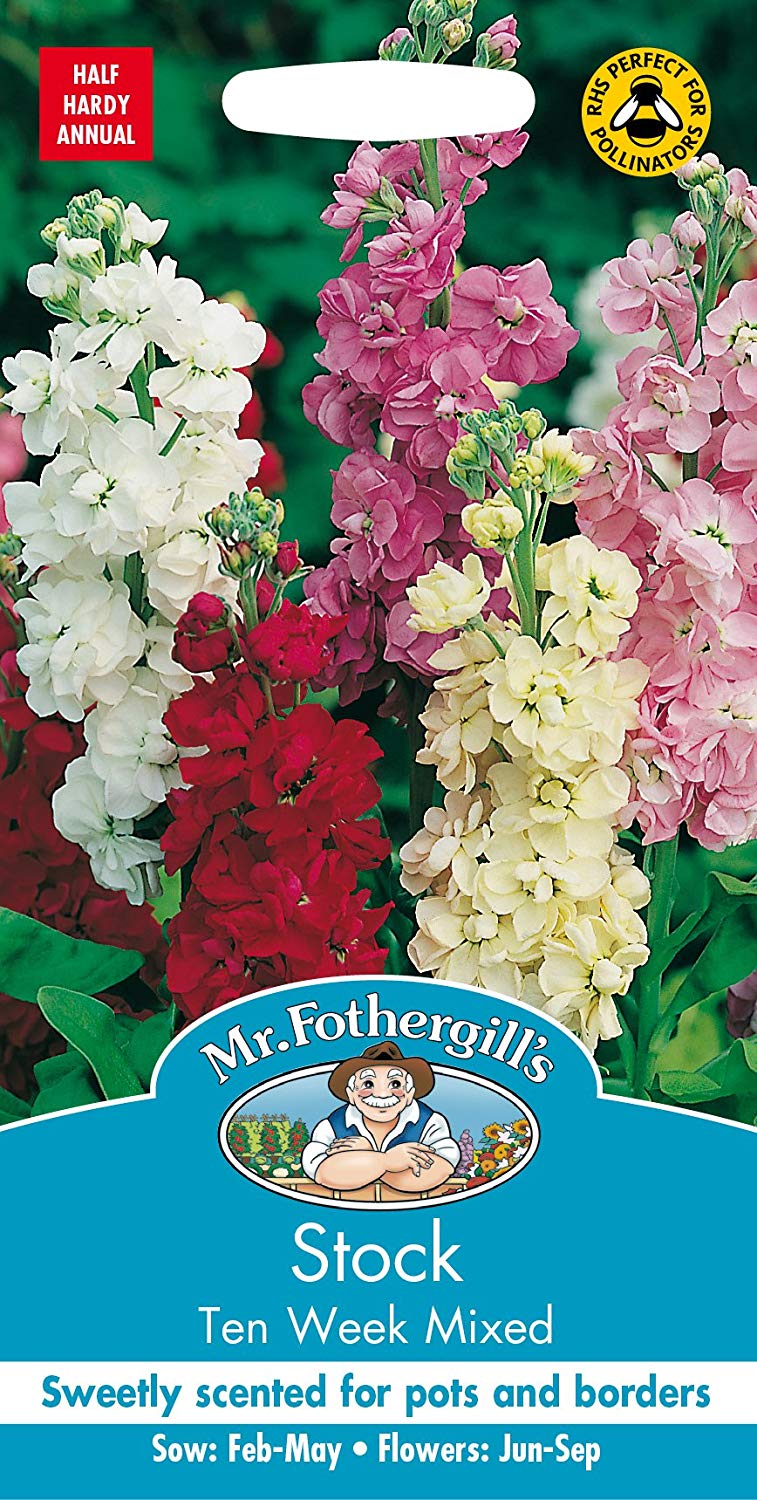 Mr.Fothergill's Stock Dwarf Ten Week Mixed Flower Seeds