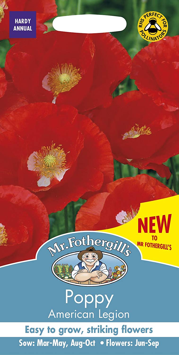 Mr.Fothergill's Poppy American Legion
