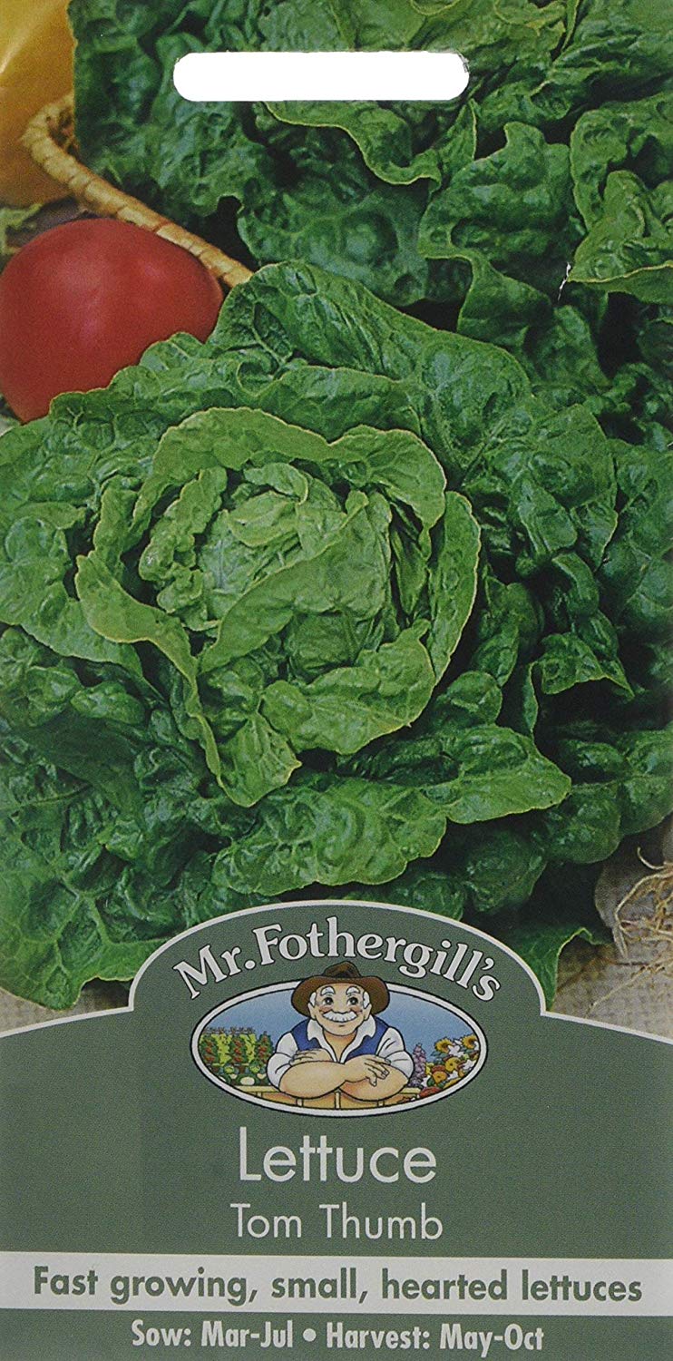 Mr.Fothergill's Lettuce Tom Thumb Seeds