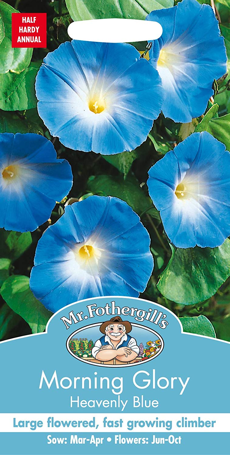 Mr.Fothergill's Morning Glory Heavenly Blue Flower Seeds