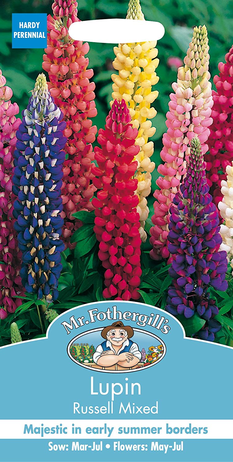 Mr.Fothergill's Lupin Russell Mixed Flower Seeds