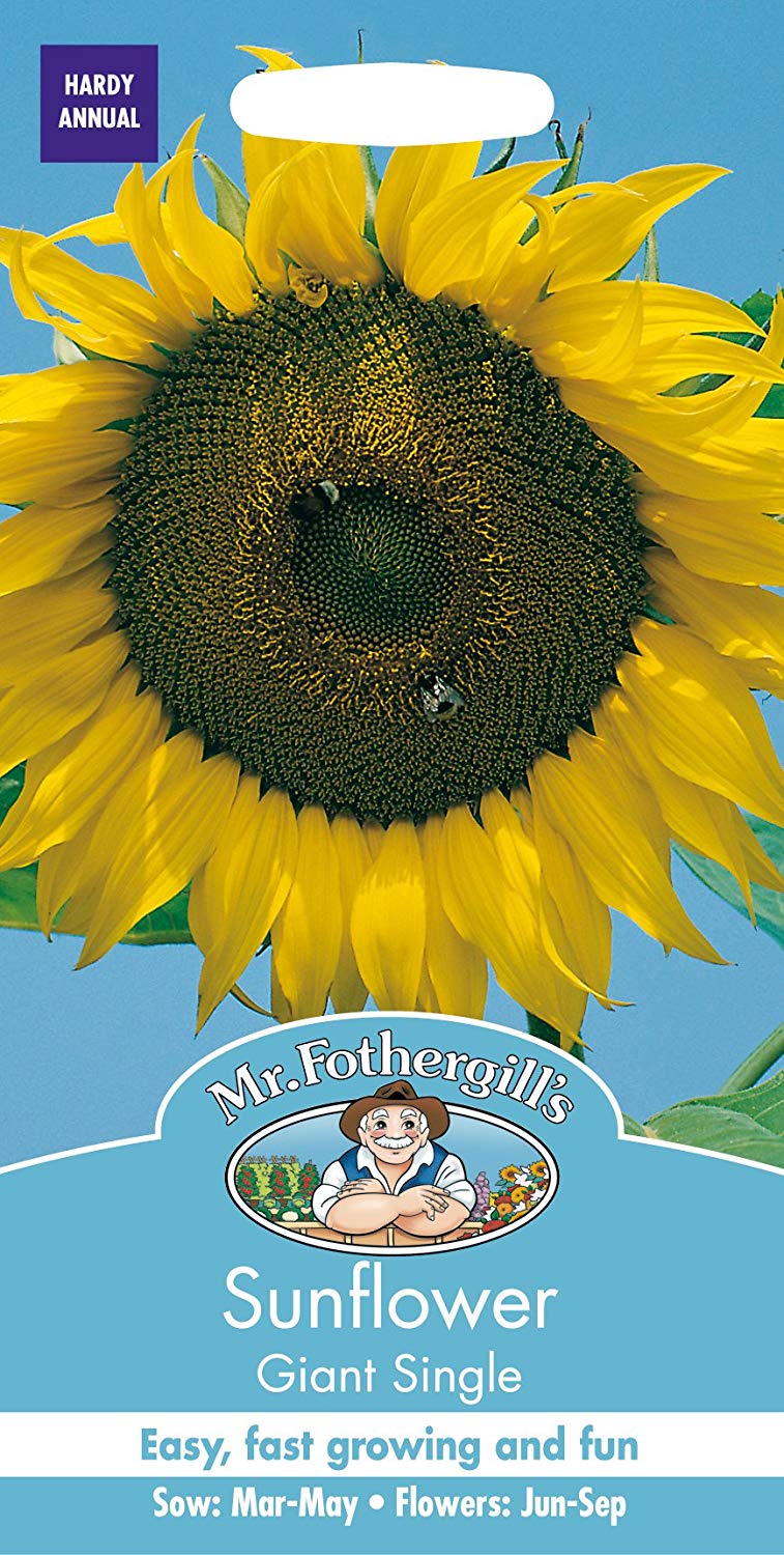 Mr.Fothergill's Sunflower Giant Single Seeds