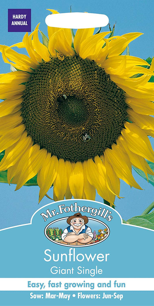 Mr.Fothergill's Sunflower Giant Single Seeds