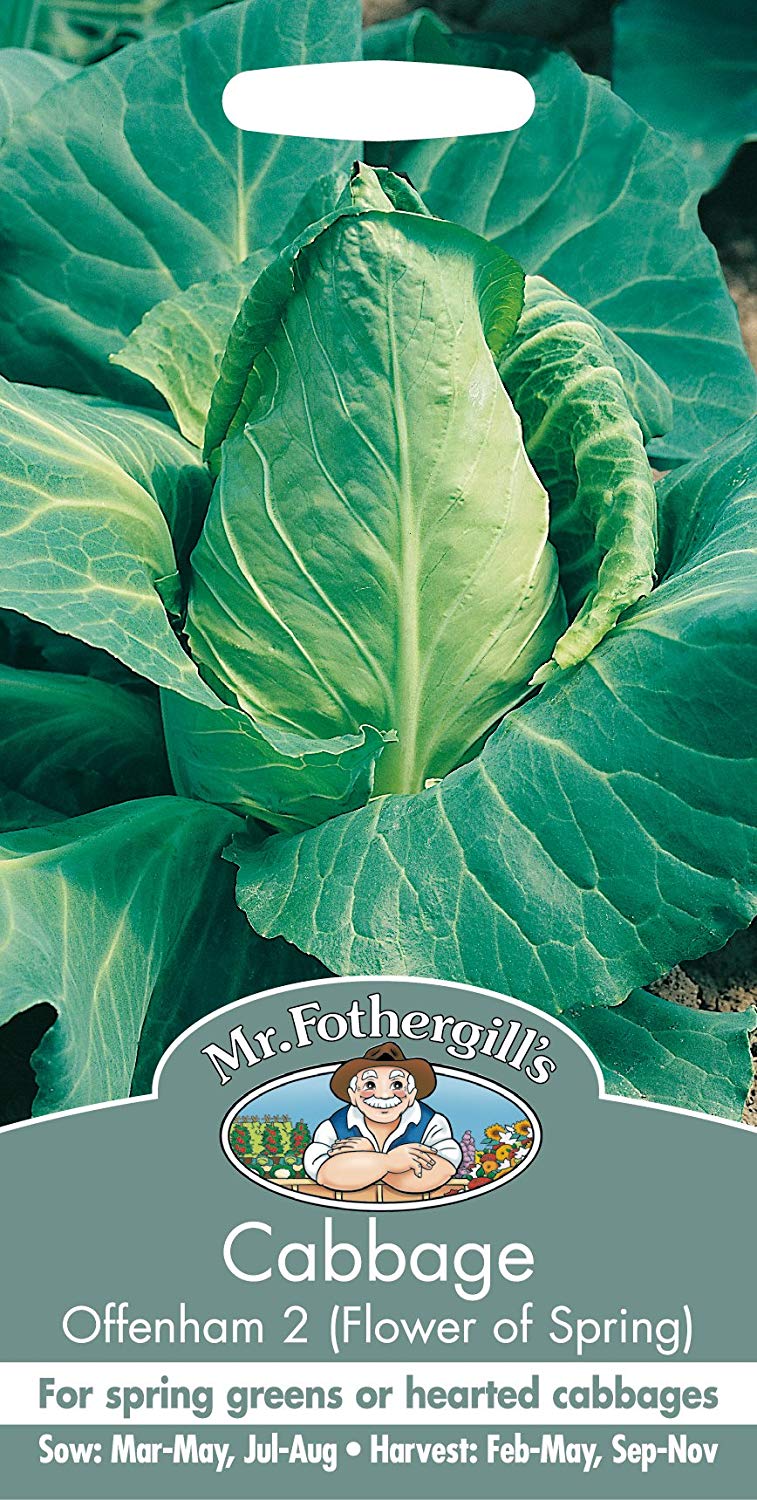 Mr.Fothergill's Offenham 2 (Flower of Spring) Cabbage Seeds