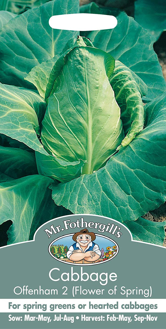 Mr.Fothergill's Offenham 2 (Flower of Spring) Cabbage Seeds