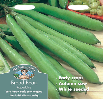 Mr.Fothergill's Broad Bean Aguadulce Seeds