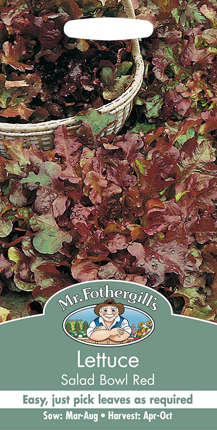 Mr.Fothergill's Lettuce Salad Bowl Red Seeds