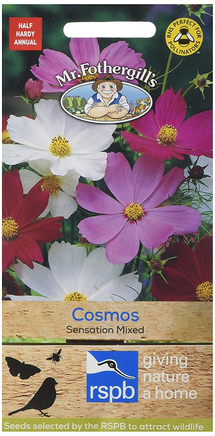 Mr.Fothergill's Cosmos Sensation Mixed Seeds