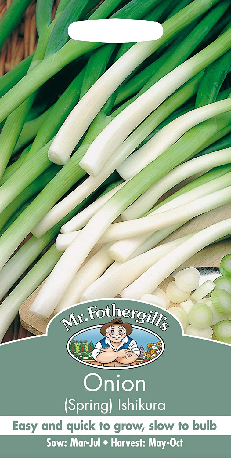 Mr.Fothergill's Spring Onion Ishikura Seeds